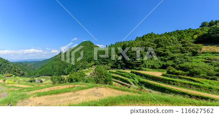 An original Japanese landscape: The seasonal scenery of the Tsuzura rice terraces and blooming red spider lilies in the mountain valley of Ukiha (Ukiha City, Fukuoka Prefecture) An original Japanese landscape: The seasonal scenery of the Tsuzura rice terraces and blooming red spider lilies in the mountain valley of Ukiha (Ukiha City, Fukuoka Prefecture) 116627562