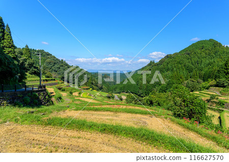An original Japanese landscape: The seasonal scenery of the Tsuzura rice terraces and blooming red spider lilies in the mountain valley of Ukiha (Ukiha City, Fukuoka Prefecture) 116627570
