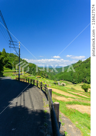 An original Japanese landscape: The seasonal scenery of the Tsuzura rice terraces and blooming red spider lilies in the mountain valley of Ukiha (Ukiha City, Fukuoka Prefecture) 116627574