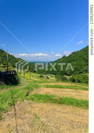 An original Japanese landscape: The seasonal scenery of the Tsuzura rice terraces and blooming red spider lilies in the mountain valley of Ukiha (Ukiha City, Fukuoka Prefecture) 116628062