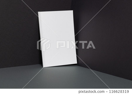 A blank white book stands upright against a dark background with copy space 116628319