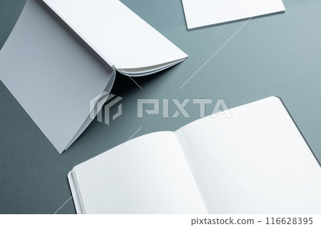 Blank open notebook and pamphlets on a grey background with copy space Blank open notebook and pamphlets on a grey background with copy space 116628395