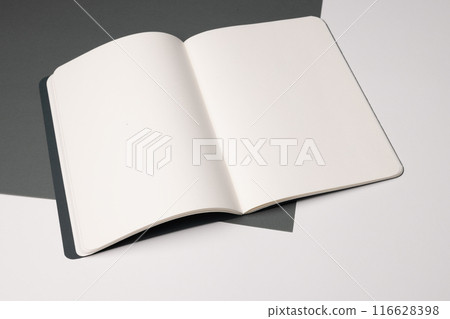 An open blank notebook rests on a desk, with copy space 116628398