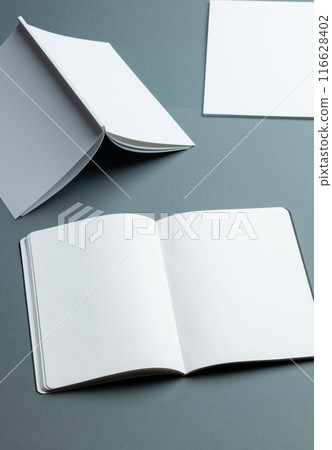 Blank open book and folded brochures on a grey background with copy space Blank open book and folded brochures on a grey background with copy space 116628402