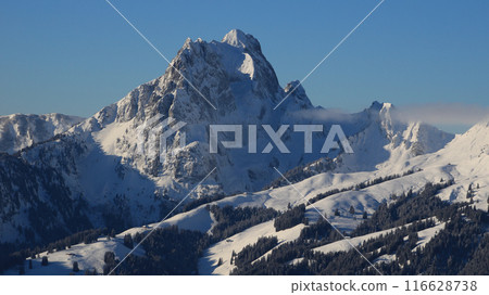 Skiing day in Schoenried, Switzerland. Skiing day in Schoenried, Switzerland. 116628738