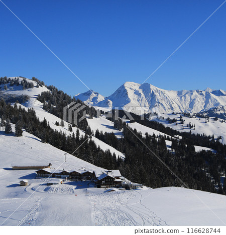 View from the Horneggli ski area, Swiss Alps. View from the Horneggli ski area, Swiss Alps. 116628744