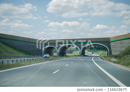 cars on the highway, asphalt road among the forest with cars, travel cars on the highway, asphalt road among the forest with cars, travel 116629675