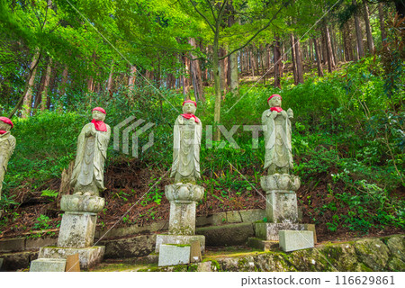 [Saifukuji Temple] Fresh greenery and Jizo statue [Shiojiri City] 116629861