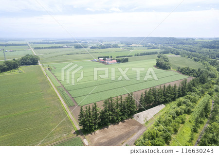 北海道十勝平原鹿追公園地區（空拍） 116630243