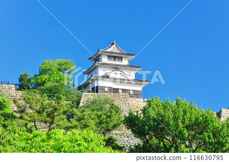 [Kagawa Prefecture] Marugame Castle on a clear day as seen from the northern inner moat (a famous castle with a surviving castle tower and stone walls) 116630795