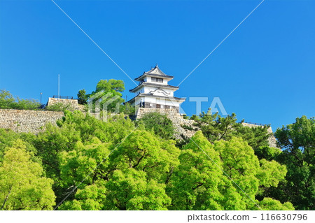 [Kagawa Prefecture] Marugame Castle on a clear day as seen from the northern inner moat (a famous castle with a surviving castle tower and stone walls) 116630796