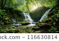清澈的溪流傾瀉而下，流入密林深處 116630814