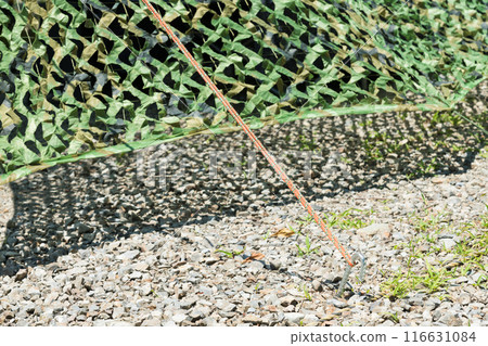 [在汽車露營地獨自露營，用釘子和拉繩] 116631084