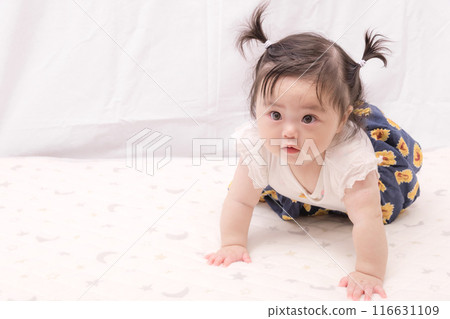 【雙馬尾寶寶開始爬行】 116631109