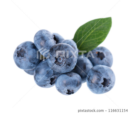 Fresh blueberry with green leaves, isolated on white background. Bilberry or whortleberry berries. Clipping path. Fresh blueberry with green leaves, isolated on white background. Bilberry or whortleberry berries. Clipping path. 116631154