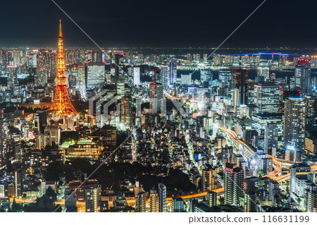 東京城市夜景[東京都港區] 116631199