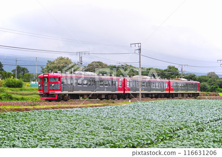 信濃鐵道 宮代田平原信濃鐵道 115 系 S9 編組 116631206