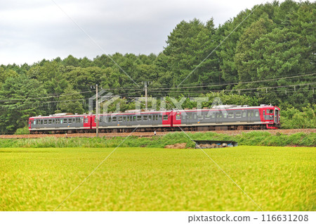 信濃鐵道平原-禦代田信濃鐵道115系S1編組 信濃鐵道平原-禦代田信濃鐵道115系S1編組 116631208