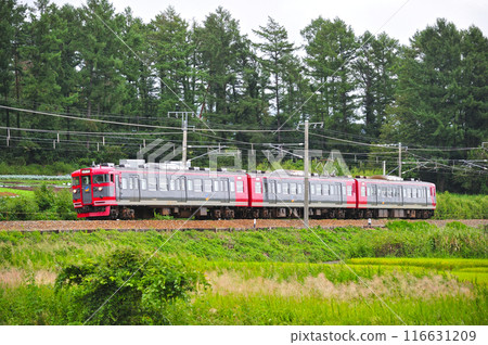 信濃鐵道 宮代田平原信濃鐵道 115 系 S9 編組 信濃鐵道 宮代田平原信濃鐵道 115 系 S9 編組 116631209