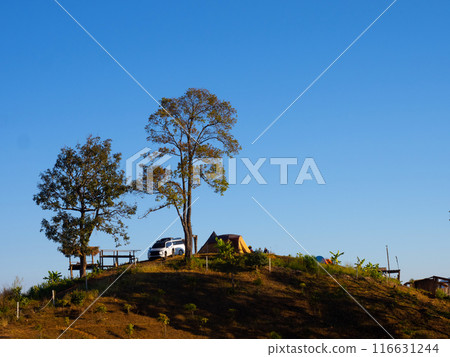 Camping tent and car on grass hill with clear sky background. Chiang Mai - Thailand 116631244