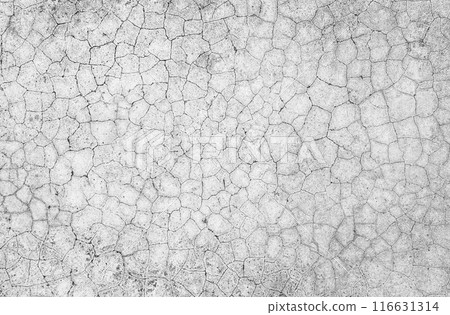 Cracked old cement texture background Cracked old cement texture background 116631314