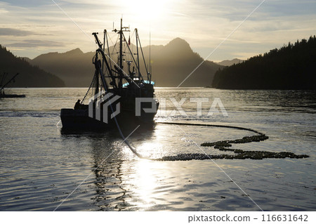 阿拉斯加鮭魚漁業 阿拉斯加鮭魚漁業 116631642