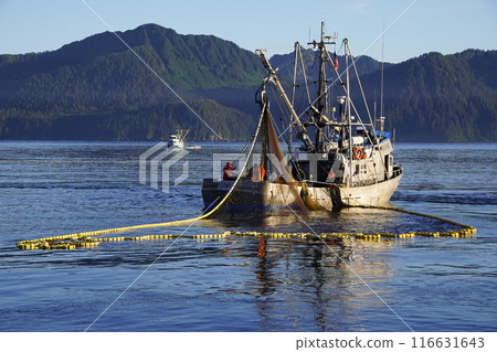 Alaskan salmon fishery 116631643