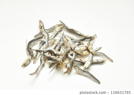 乾沙丁魚鯷魚 116631785