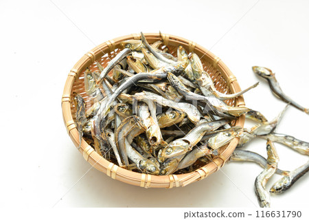 乾沙丁魚鯷魚 116631790