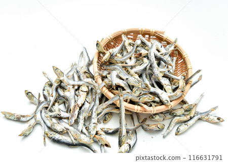 乾沙丁魚鯷魚 116631791
