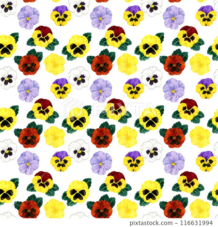 彩色三色堇無縫圖案，手繪水彩插畫花圖案 116631994