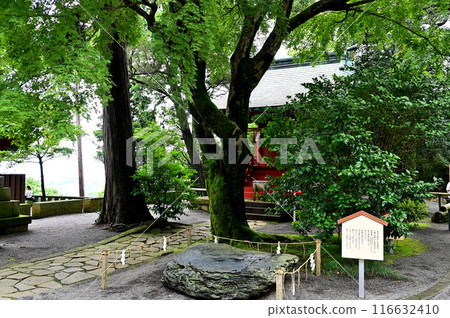 Izusan Shrine Light Stone 116632410