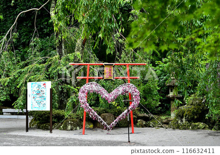 Izusan Shrine Precincts 116632411