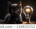 cute kitten sitting in complete darkness with a light bulb 116633152