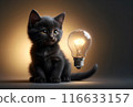 cute kitten sitting in complete darkness with a light bulb 116633157