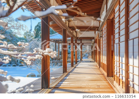 Beautiful winter scenery in a Japanese garden (Kyoto, temple, Japanese-style room, Zen) 116633354