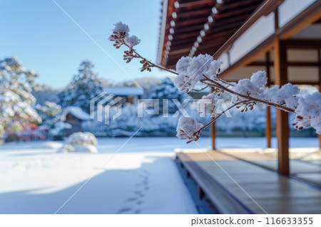 Beautiful winter scenery in a Japanese garden (Kyoto, temple, Japanese-style room, Zen) 116633355
