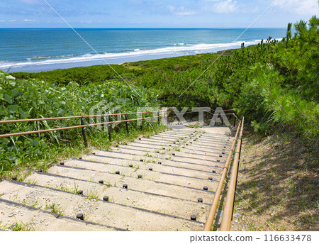 Kashimanada Sea Park 116633478