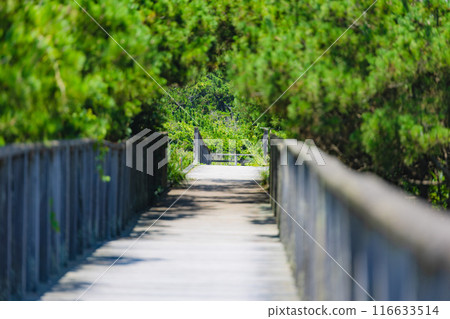 鹿島灘海洋公園 鹿島灘海洋公園 116633514