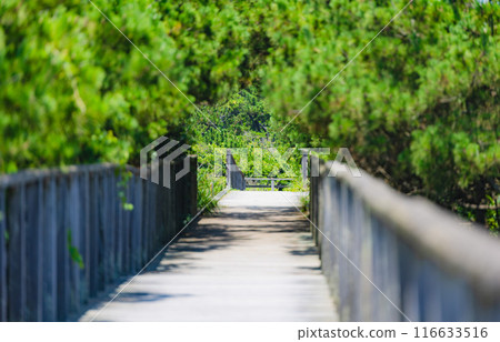 鹿島灘海洋公園 116633516