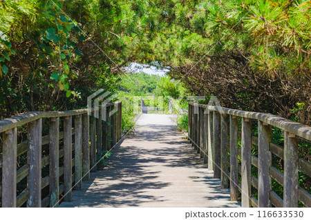 Kashimanada Sea Park 116633530