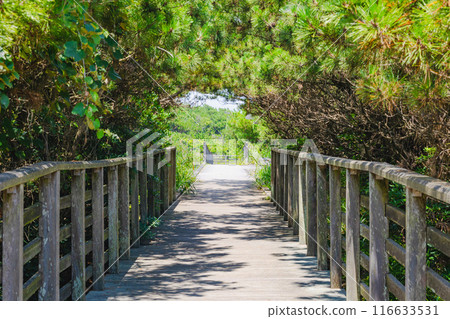 Kashimanada Sea Park 116633531