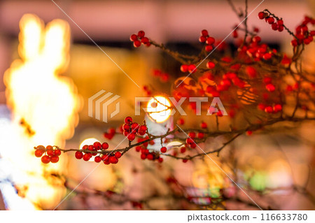 路燈和紅色南天水果 116633780