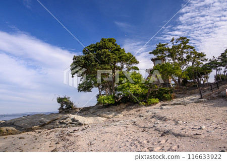 從沙灘上看到的浦賀富明戶風景 從沙灘上看到的浦賀富明戶風景 116633922