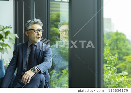 Gray-haired businessman by the window 116634179