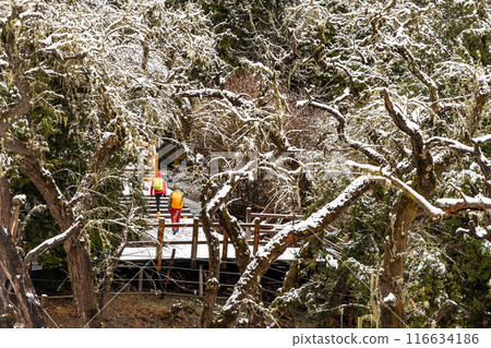 Boardwalk at Changping Valley, Siguniang National Park for hiking tourists to appreciate the scenic landscape in early spring with snow 116634186
