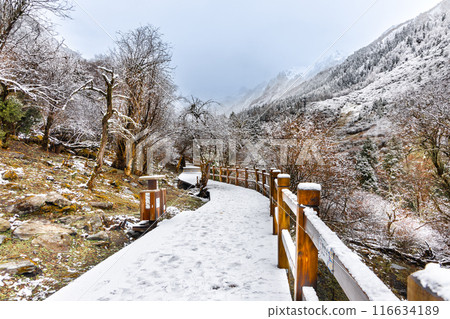 Boardwalk at Changping Valley, Siguniang National Park for hiking tourists to appreciate the scenic landscape in early spring with snow 116634189