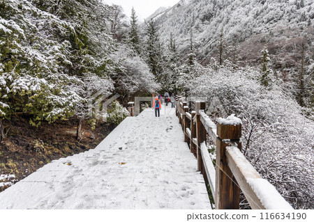 Boardwalk at Changping Valley, Siguniang National Park for hiking tourists to appreciate the scenic landscape in early spring with snow Boardwalk at Changping Valley, Siguniang National Park for hiking tourists to appreciate the scenic landscape in early spring with snow 116634190