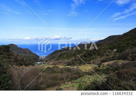 Rice terraces in Ishibe, Matsuzaki Town, Kamo District, Shizuoka Prefecture 116634332