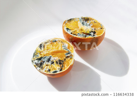 Pieces of Rotting orange close up against background 116634338